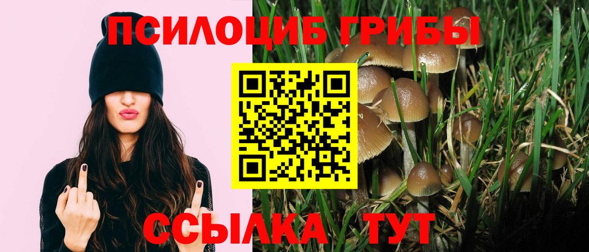Галлюциногенные грибы Magic Shrooms  Вход с VPN  Миасс  Галлюциногенные грибы мухоморы 